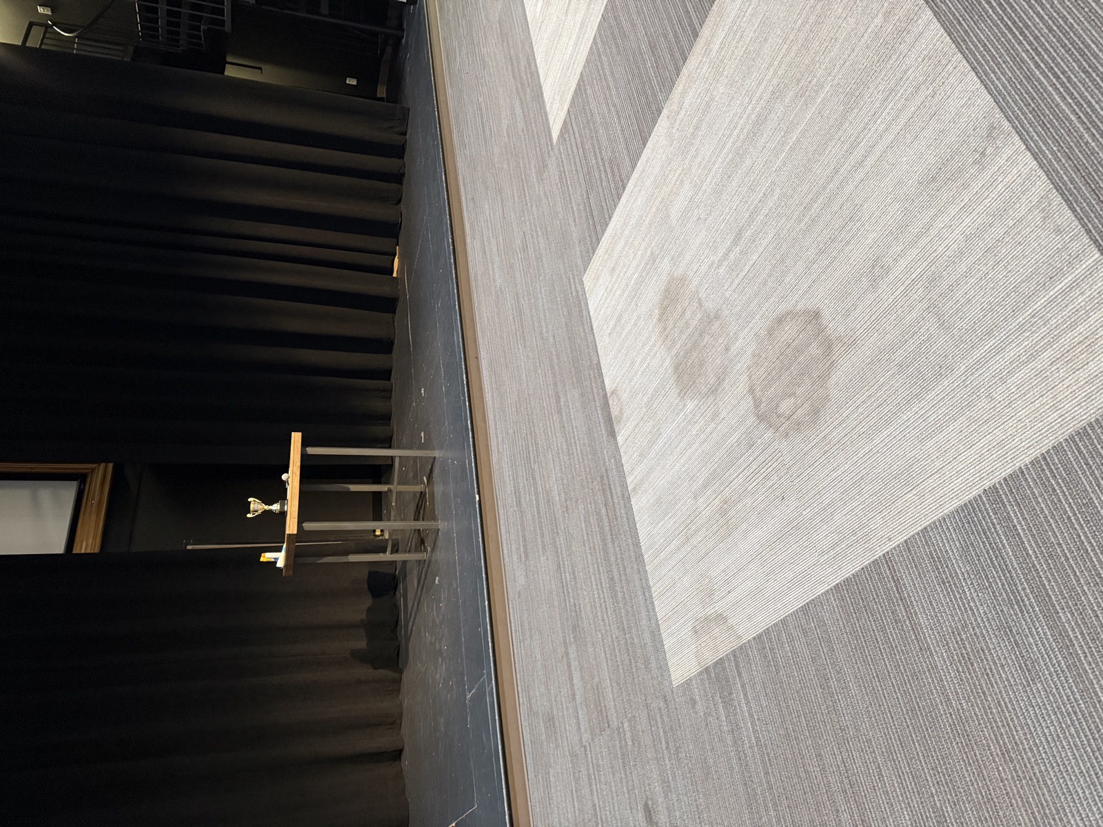 Restorative carpet cleaning — second view
